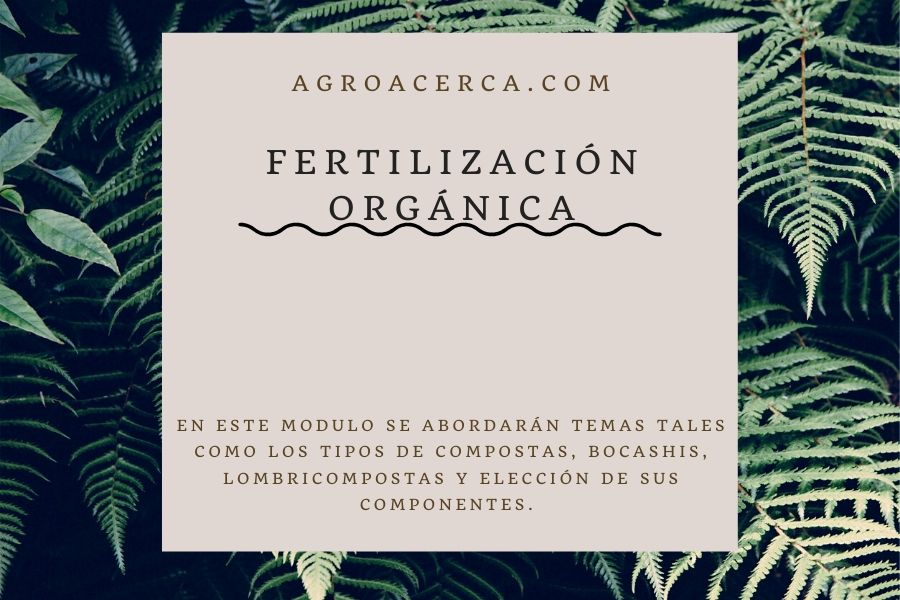 fertilización