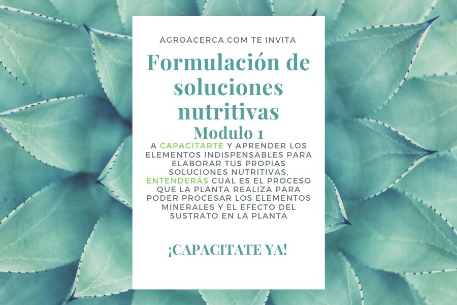 nutrición vegetal