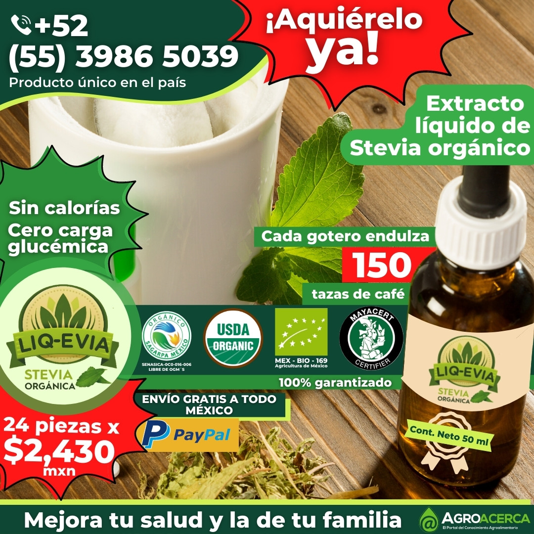 Stevia