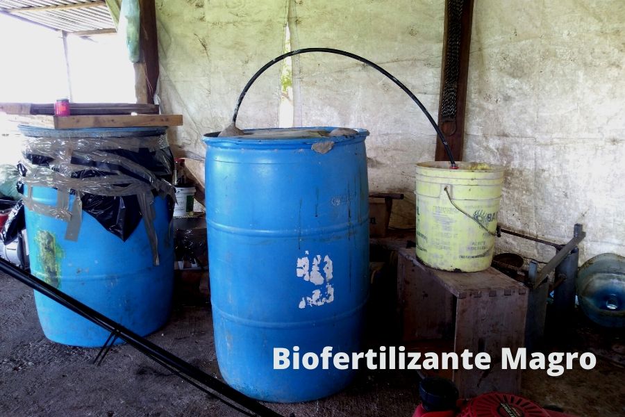 biofertilizante