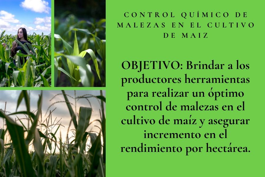 maleza