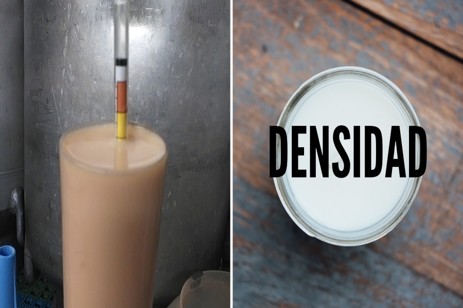derivados de la leche