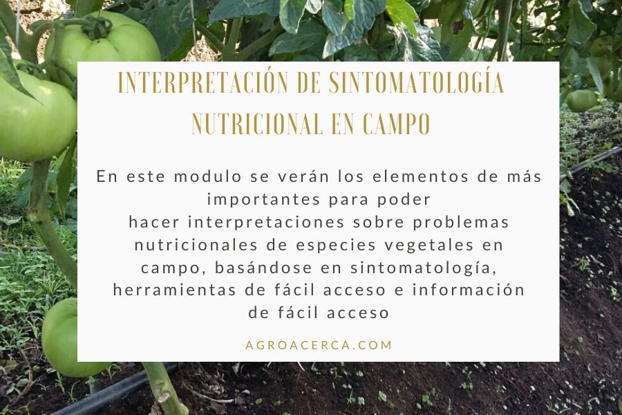 nutrición vegetal