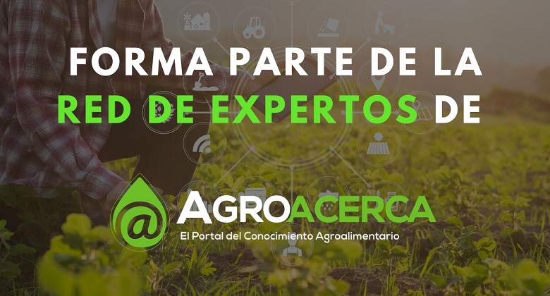 Apoyo que te ofrecemos: ELABORACIÓN DE PROGRAMA Y CONTENIDO DE TUS CURSOS