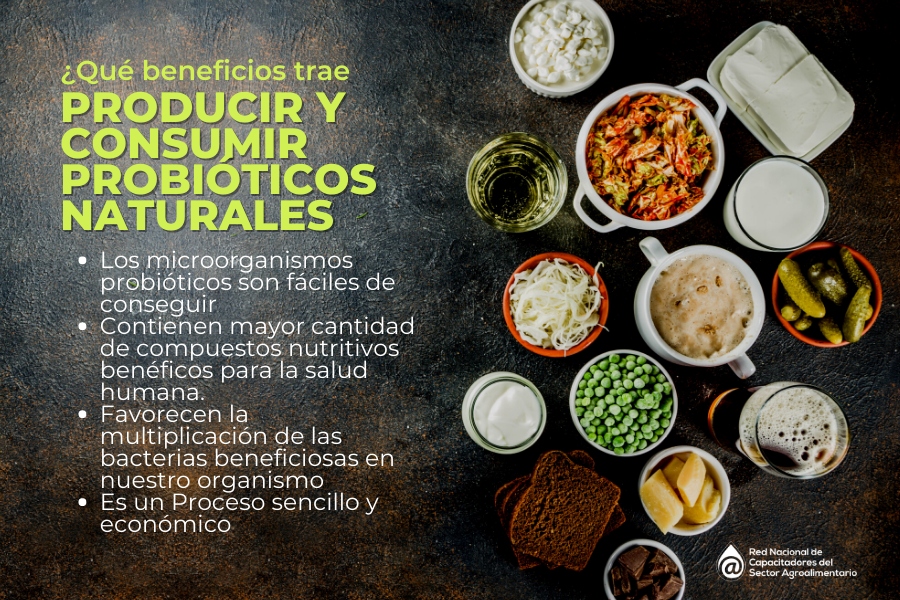 probioticos con hojas del bosque