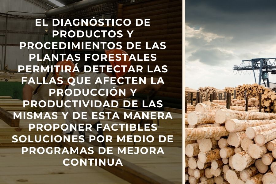 Madera