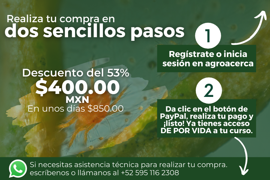 nutricion