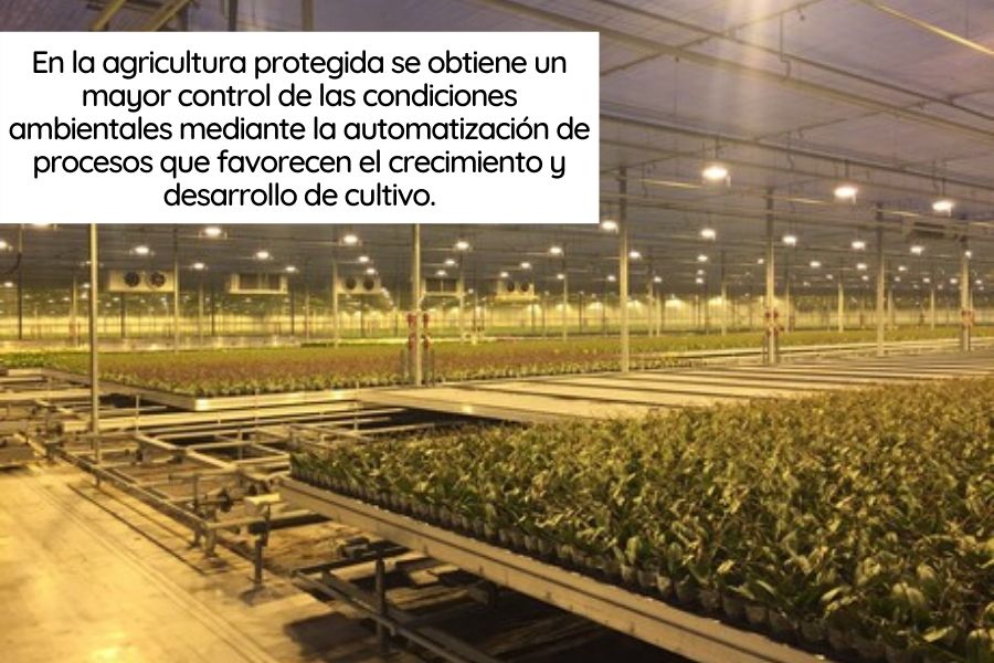 agricultura protegida