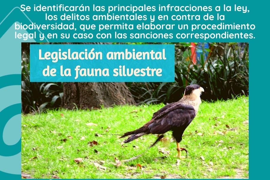 Aprovechamiento