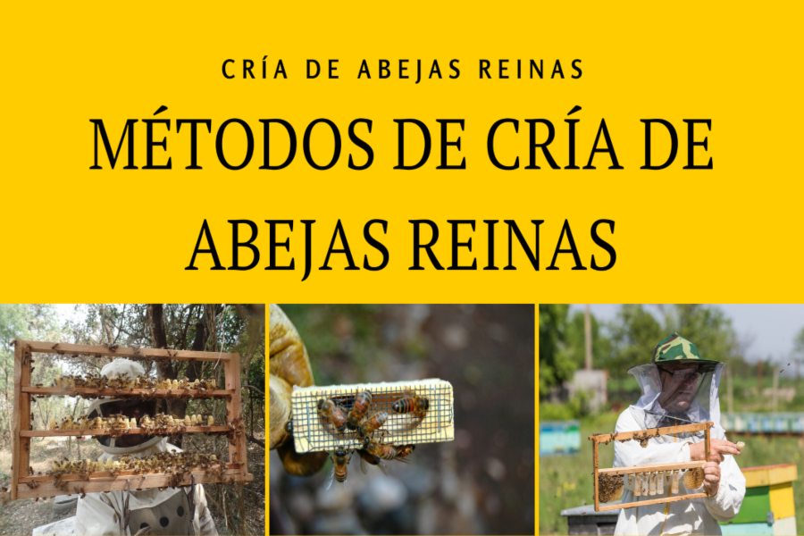 reina