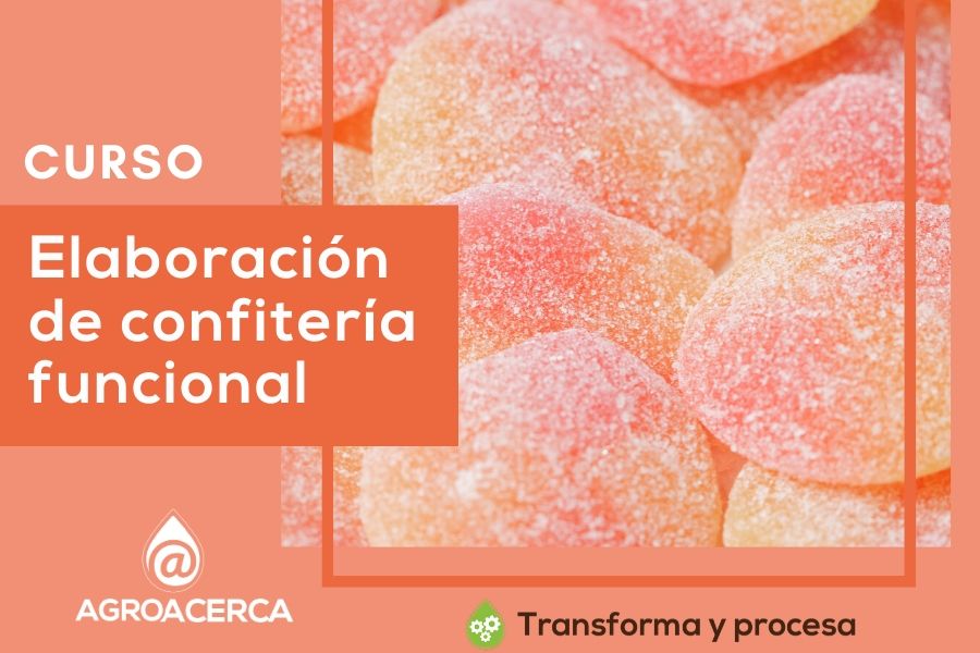 Transforma y procesa