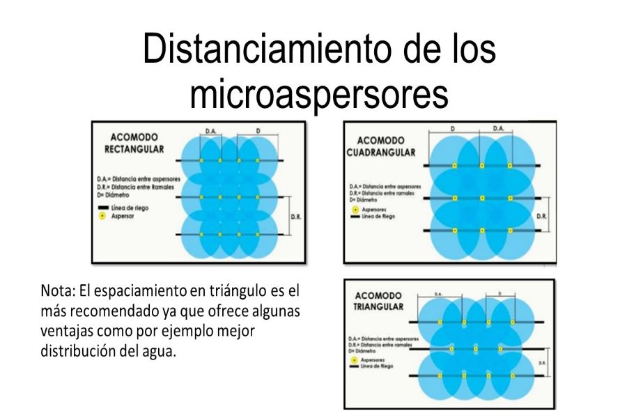 riego localizado  