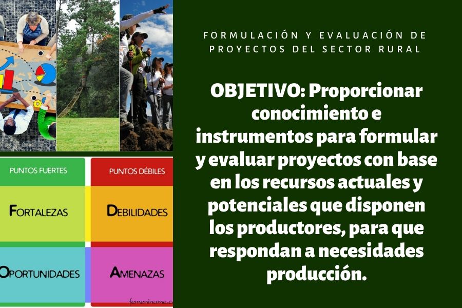 Formulación