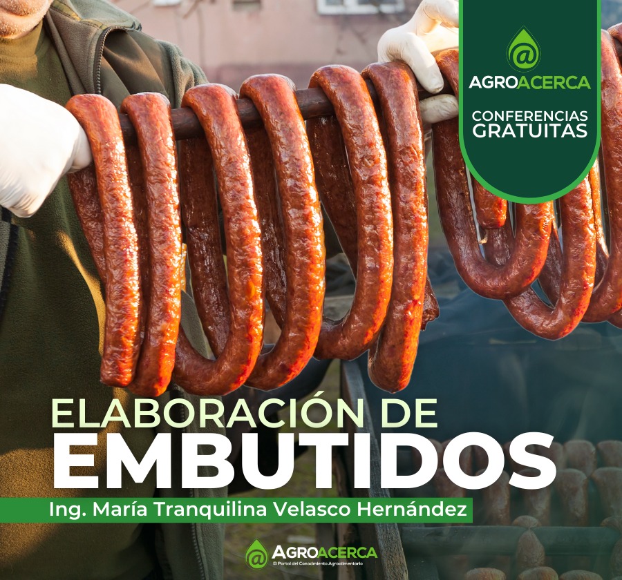 embutido