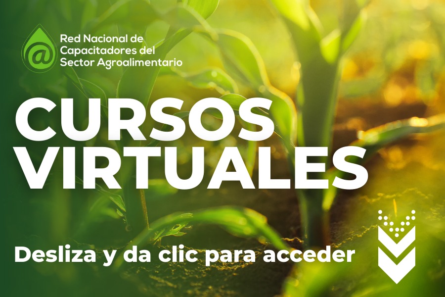 CURSOS DEL SECTOR AGROALIMENTARIO 