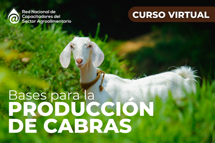 cabras