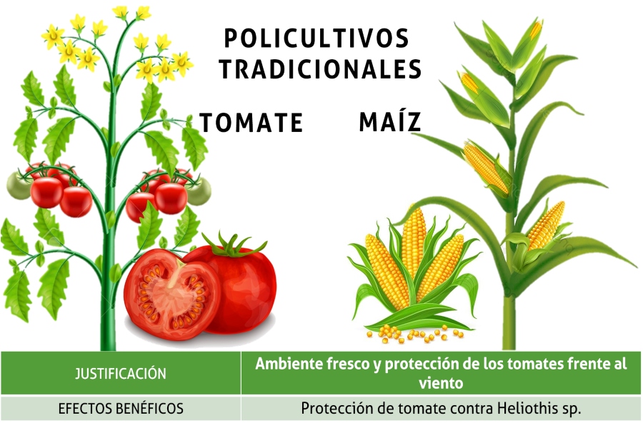 agroecológico