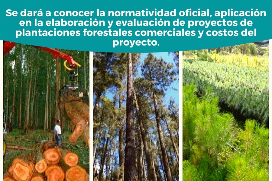 sustentables