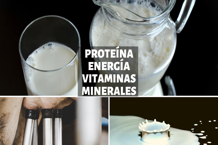 leche