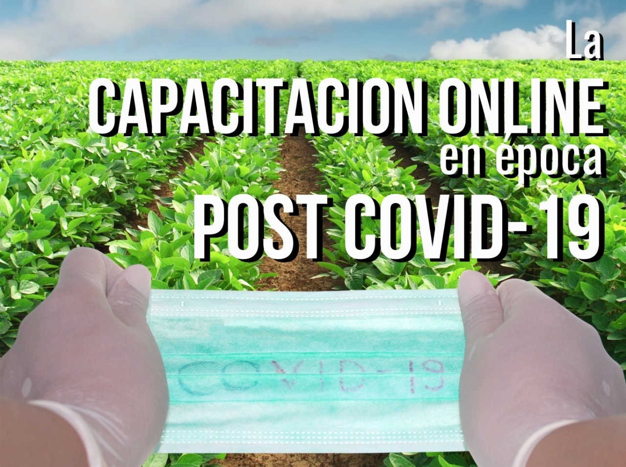 Las capacitaciones ONLINE en época POST COVID 19