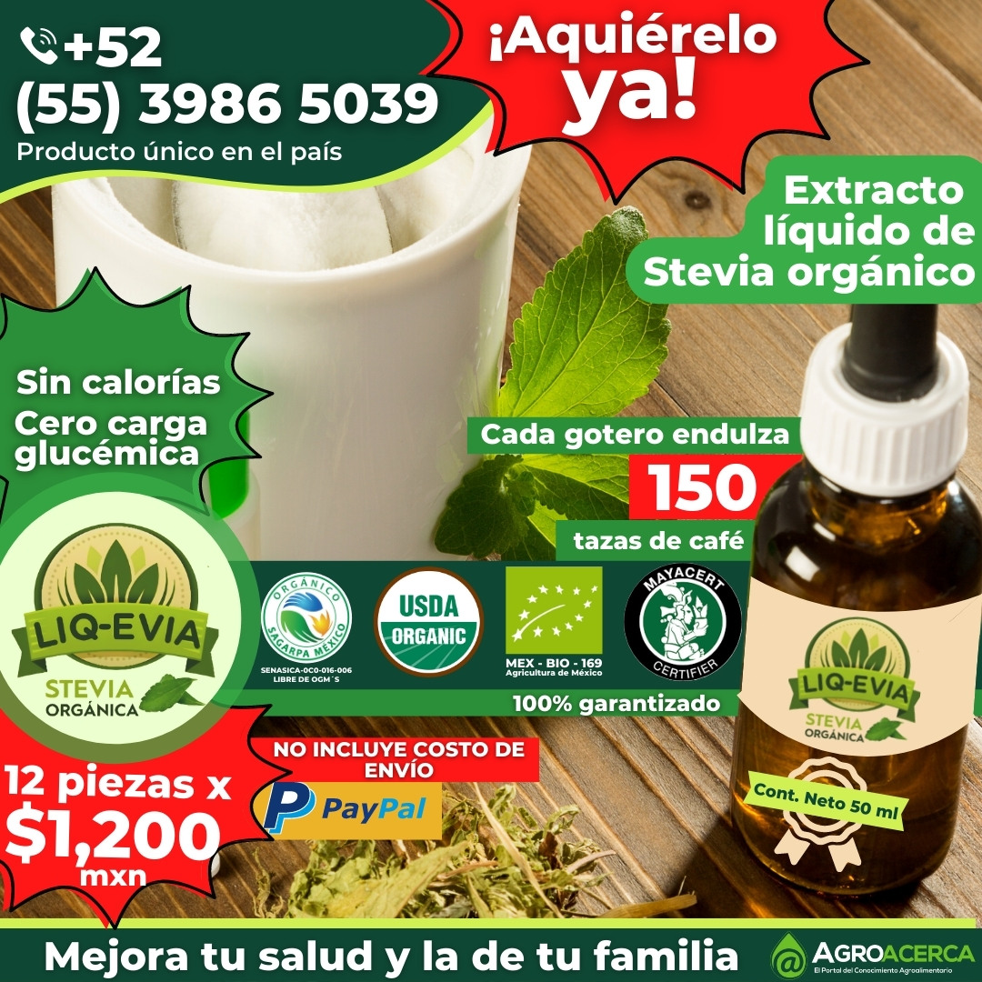 stevia