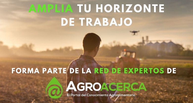 Apoyo que te ofrecemos: ELABORACIÓN DE MATERIAL GRÁFICO EFECTIVO PARA TUS CURSOS