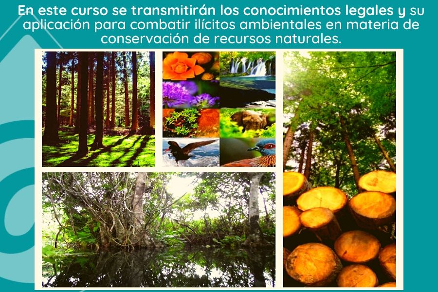 Legislación