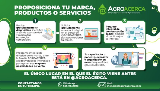 Propuestas de alianzas para apoyar a posicionar tu marca, productos o servicios