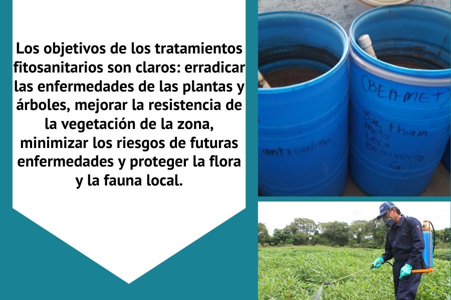 tratamiento