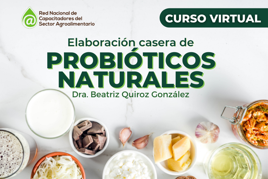 Probioticos