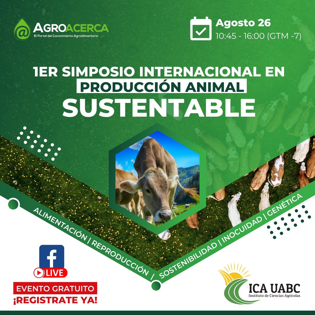 producción