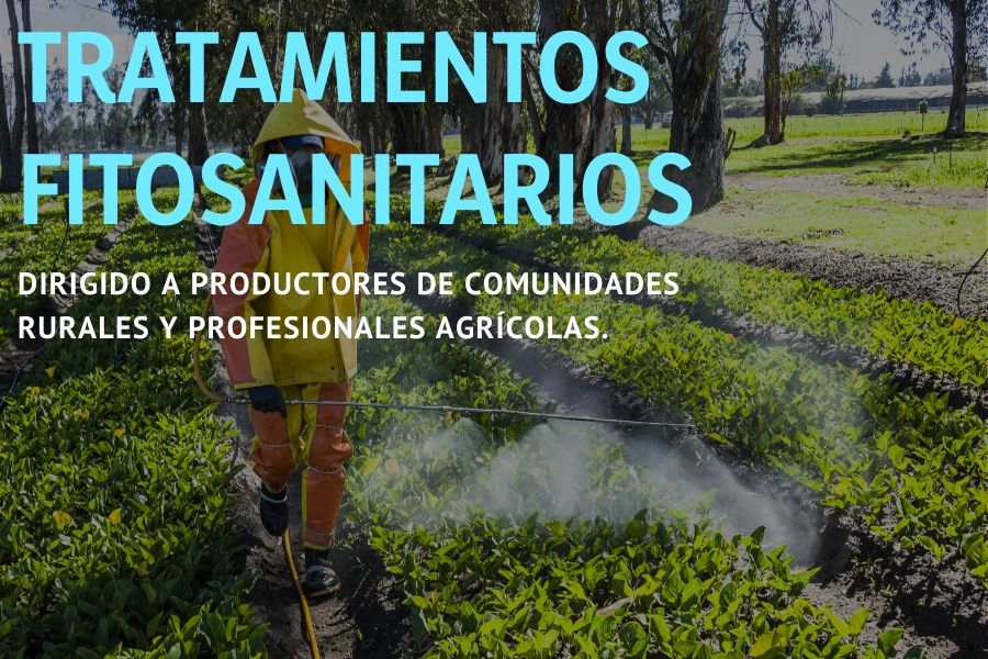 Planta