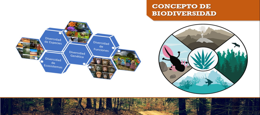 Conservación