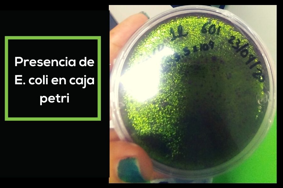 microbiológico