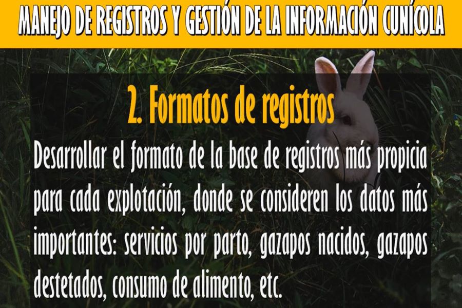 registro de datos